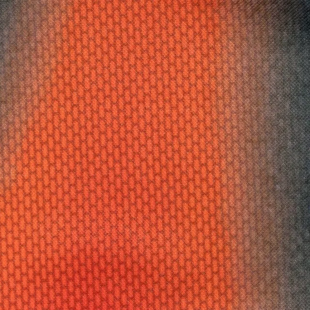 Thermography Jersey Shorts